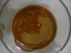 DSC02494.JPG